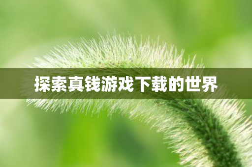 探索真钱游戏下载的世界