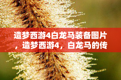 造梦西游4白龙马装备图片，造梦西游4，白龙马的传奇之旅