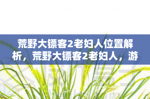 荒野大镖客2老妇人位置解析，荒野大镖客2老妇人，游戏背后的温情故事