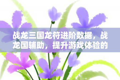 战龙三国龙符进阶数据，战龙国辅助，提升游戏体验的得力助手