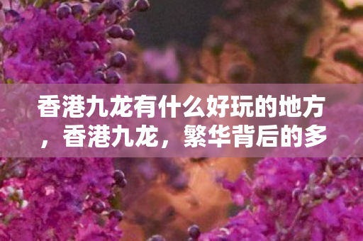 香港九龙有什么好玩的地方，香港九龙，繁华背后的多元文化与历史印记