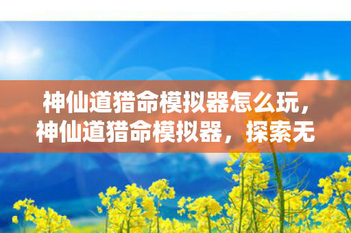 神仙道猎命模拟器怎么玩，神仙道猎命模拟器，探索无限可能的虚拟世界