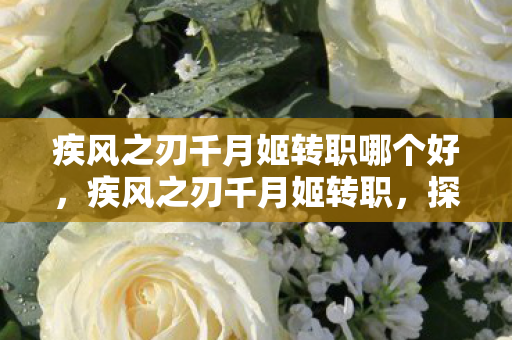 疾风之刃千月姬转职哪个好，疾风之刃千月姬转职，探索全新战斗风格与技能体系