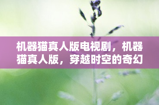 机器猫真人版电视剧，机器猫真人版，穿越时空的奇幻之旅