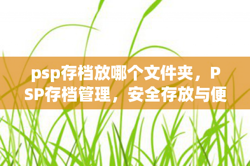psp存档放哪个文件夹，PSP存档管理，安全存放与便捷访问的指南