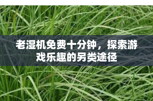 老湿机免费十分钟，探索游戏乐趣的另类途径