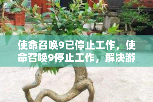 使命召唤9已停止工作，使命召唤9停止工作，解决游戏崩溃的实用方法