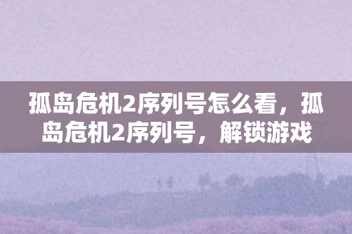 孤岛危机2序列号怎么看，孤岛危机2序列号，解锁游戏世界的钥匙