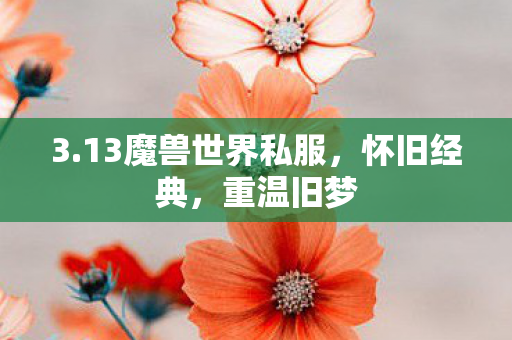 3.13魔兽世界私服，怀旧经典，重温旧梦