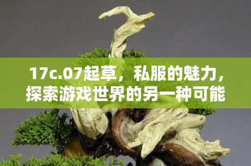 17c.07起草，私服的魅力，探索游戏世界的另一种可能