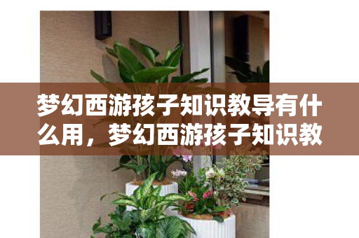 梦幻西游孩子知识教导有什么用，梦幻西游孩子知识教导全解析
