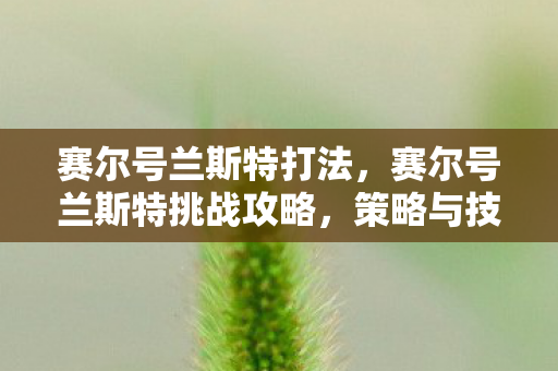 赛尔号兰斯特打法，赛尔号兰斯特挑战攻略，策略与技巧
