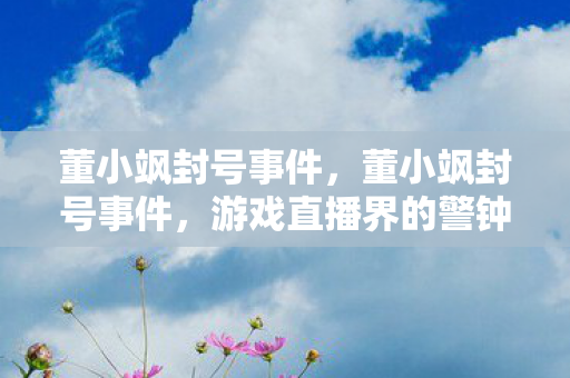 董小飒封号事件，董小飒封号事件，游戏直播界的警钟