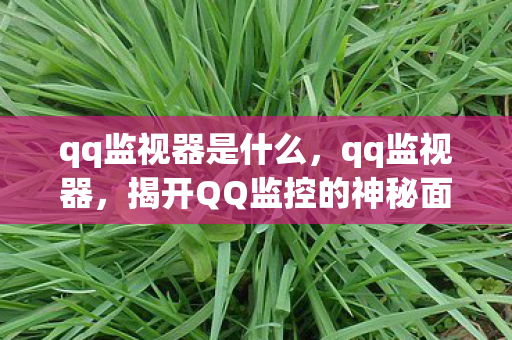qq监视器是什么，qq监视器，揭开QQ监控的神秘面纱