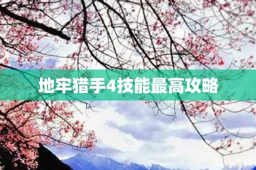 地牢猎手4技能最高攻略