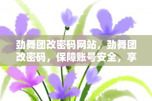 劲舞团改密码网站，劲舞团改密码，保障账号安全，享受无忧游戏