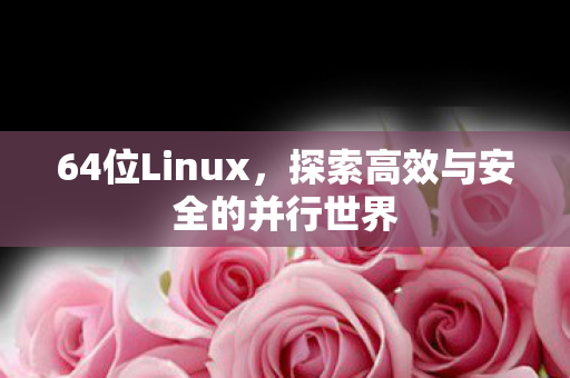 64位Linux，探索高效与安全的并行世界