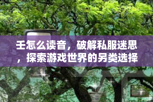壬怎么读音，破解私服迷思，探索游戏世界的另类选择