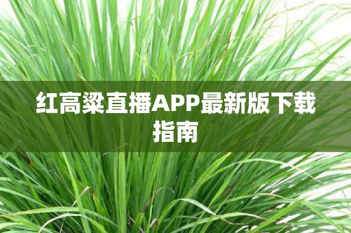 红高粱直播APP最新版下载指南