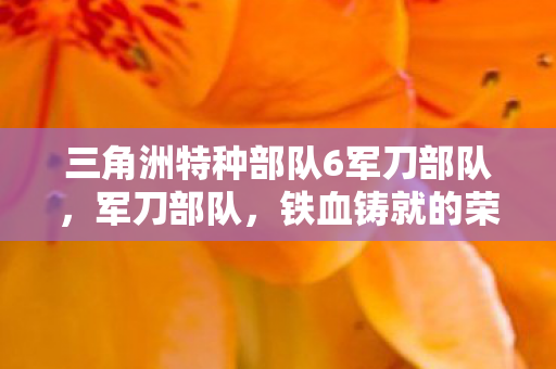 三角洲特种部队6军刀部队，军刀部队，铁血铸就的荣耀与使命