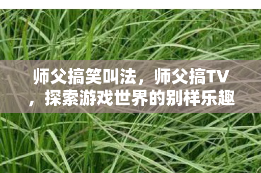 师父搞笑叫法，师父搞TV，探索游戏世界的别样乐趣