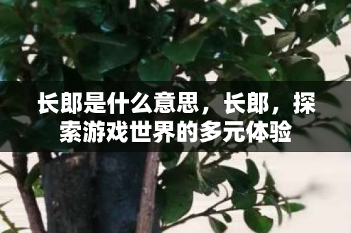 长郎是什么意思，长郎，探索游戏世界的多元体验