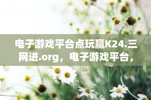 电子游戏平台点玩赢K24.三网进.org，电子游戏平台，探索多元化娱乐的新领域