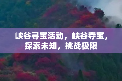 峡谷寻宝活动，峡谷夺宝，探索未知，挑战极限