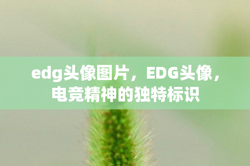 edg头像图片，EDG头像，电竞精神的独特标识