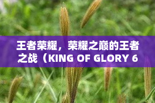 王者荣耀，荣耀之巅的王者之战（KING OF GLORY 6-10）