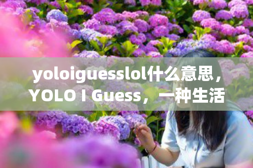 yoloiguesslol什么意思，YOLO I Guess，一种生活态度的表达