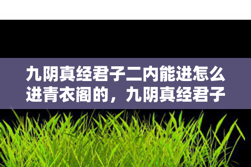 九阴真经君子二内能进怎么进青衣阁的，九阴真经君子二内，探寻武学真谛，领略君子风范
