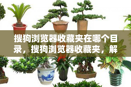 搜狗浏览器收藏夹在哪个目录，搜狗浏览器收藏夹，解锁你的数字生活新方式