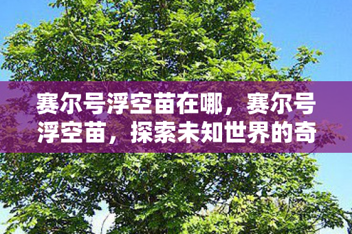 赛尔号浮空苗在哪，赛尔号浮空苗，探索未知世界的奇妙之旅