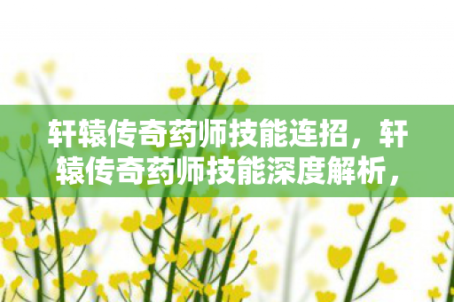 轩辕传奇药师技能连招，轩辕传奇药师技能深度解析，治愈之光与生命绽放的奥秘