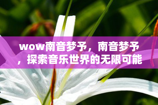 wow南音梦予，南音梦予，探索音乐世界的无限可能