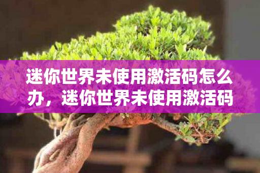 迷你世界未使用激活码怎么办，迷你世界未使用激活码，探索未知世界的奇妙之旅