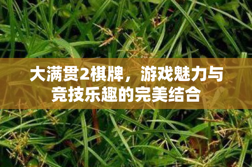 大满贯2棋牌，游戏魅力与竞技乐趣的完美结合