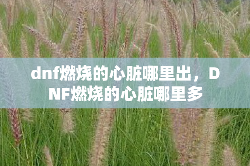 dnf燃烧的心脏哪里出，DNF燃烧的心脏哪里多