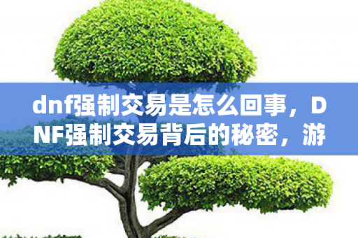 dnf强制交易是怎么回事，DNF强制交易背后的秘密，游戏经济与市场操控