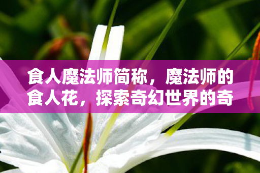 食人魔法师简称，魔法师的食人花，探索奇幻世界的奇妙植物