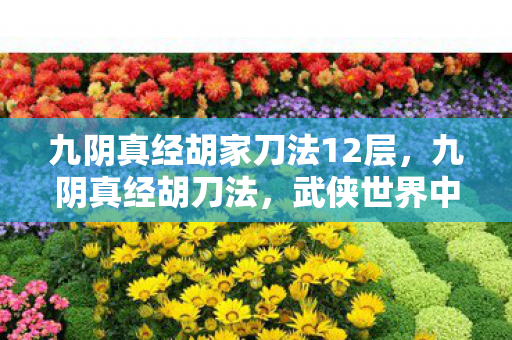 九阴真经胡家刀法12层，九阴真经胡刀法，武侠世界中的刀法传奇