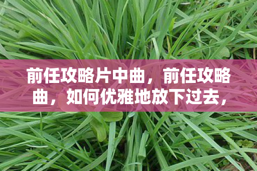 前任攻略片中曲，前任攻略曲，如何优雅地放下过去，迎接新生活