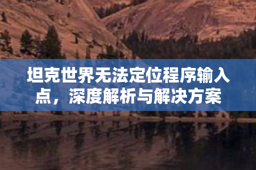 坦克世界无法定位程序输入点，深度解析与解决方案