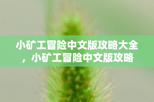 小矿工冒险中文版攻略大全，小矿工冒险中文版攻略