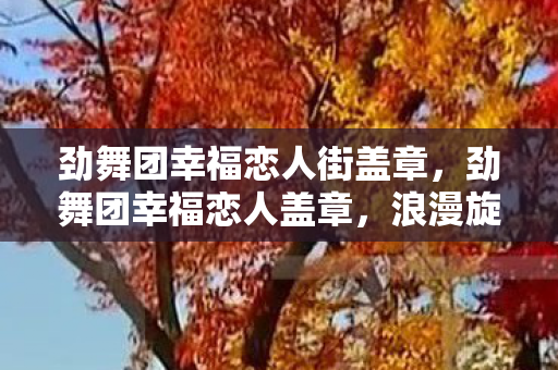劲舞团幸福恋人街盖章，劲舞团幸福恋人盖章，浪漫旋律中的甜蜜回忆