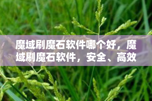 魔域刷魔石软件哪个好，魔域刷魔石软件，安全、高效、合法的游戏辅助工具