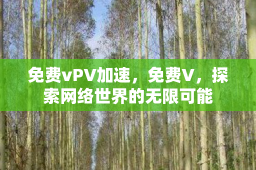 免费vPV加速，免费V，探索网络世界的无限可能