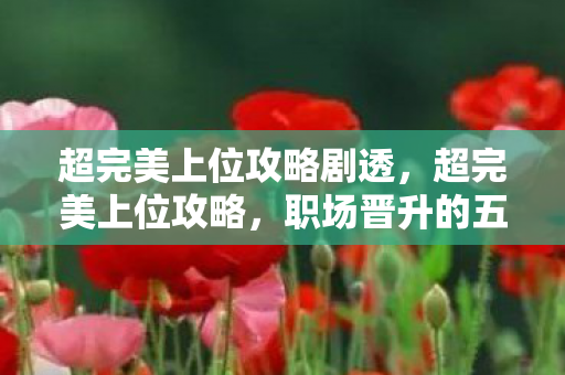 超完美上位攻略剧透，超完美上位攻略，职场晋升的五大策略