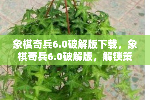 象棋奇兵6.0破解版下载，象棋奇兵6.0破解版，解锁策略新境界